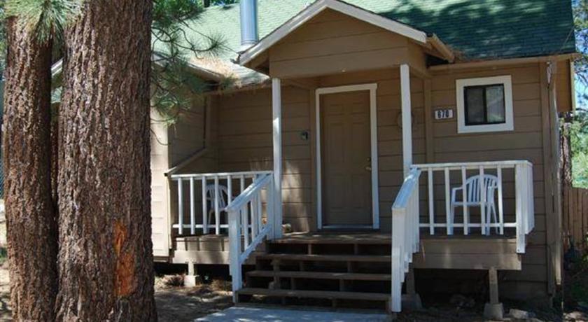 RedAwning Knotty Pine Cabin
