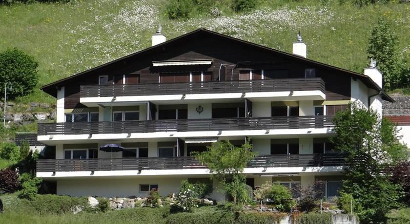 One-Bedroom Apartment One-Bedroom in Engelberg 3