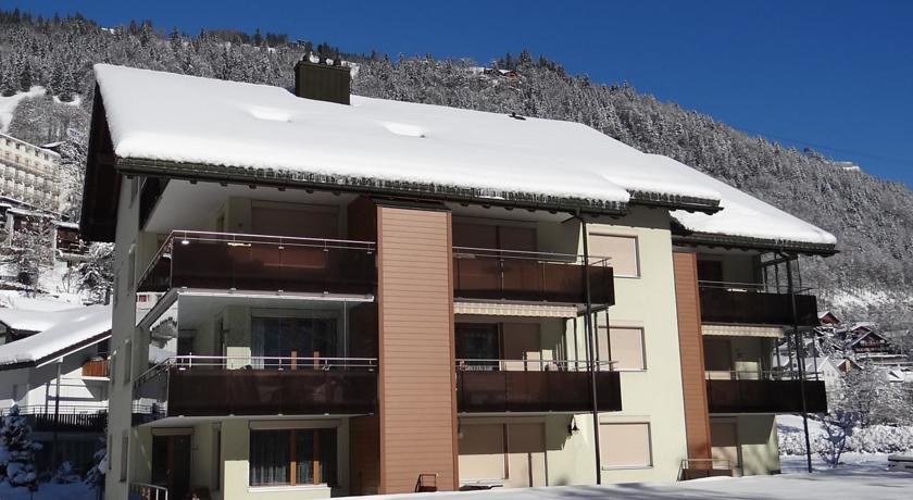 One-Bedroom Apartment in Engelberg 17