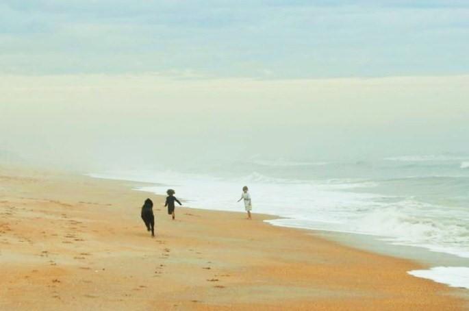 Апартаменты Sun Dancer by Vacation Rental Pros