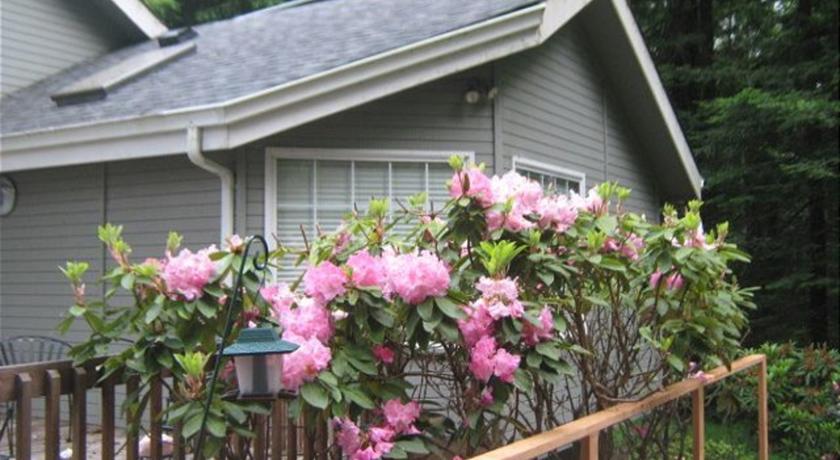 Апартаменты RedAwning Hilltop House of Arcata
