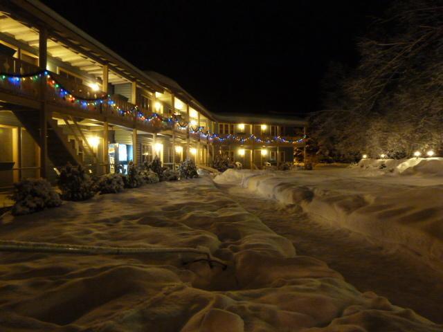 Отель Viking Motel