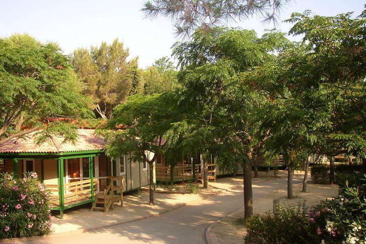 Отель Camping Vilanova Park TARRAGONA