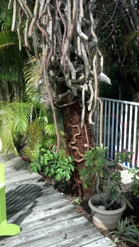 Отель Sunshine Island Inn
