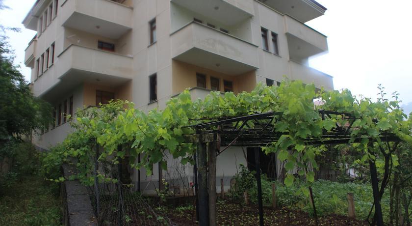 Отель Hotel T1
