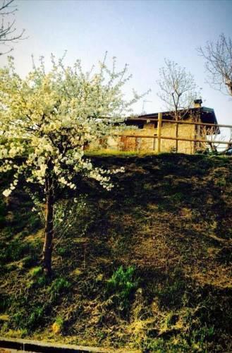 Мини-отель B&B Sovenigo