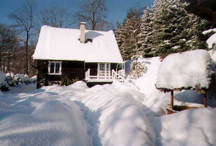 Апартаменты Holiday home Heroltice 1