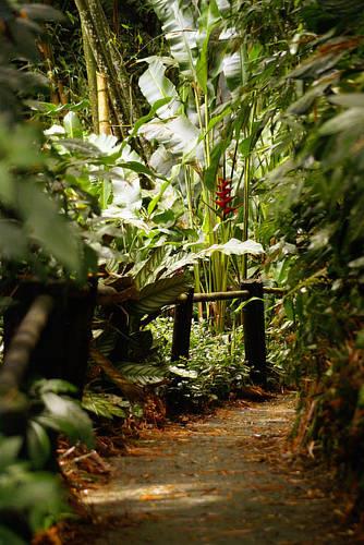 Отель La Floresta Hotel Campestre