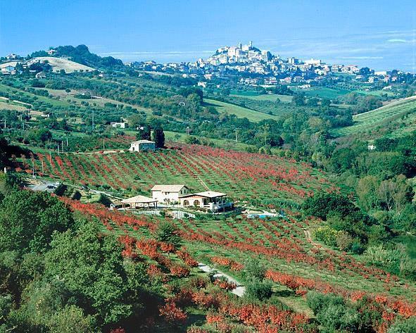 Отель Il Cascinale