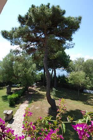 Вилла Villa in Arzachena IV