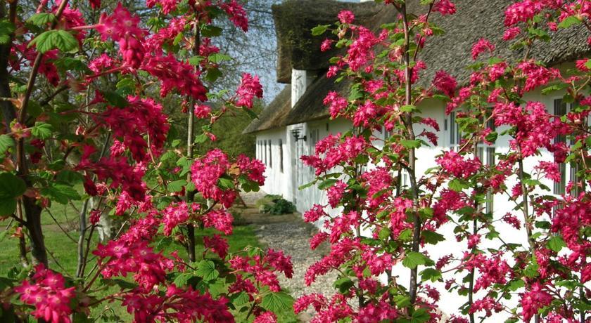 Апартаменты Holiday home Stampemøllevej C- 4447