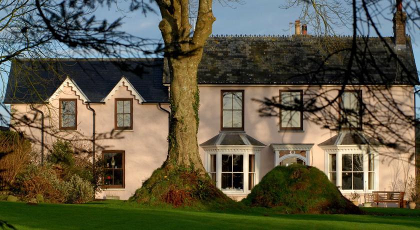 Мини-отель Cefn-y-Dre Country House