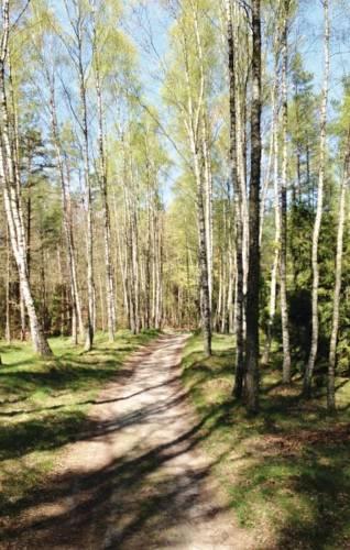 Апартаменты Holiday home Szemud *LVI *