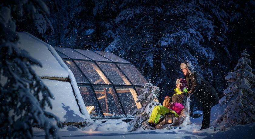 Отель Lapland Igloo