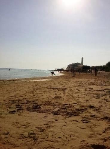 Апартаменты Punta Secca