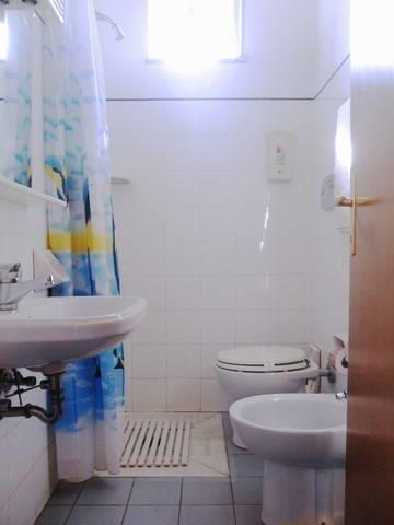 Отель Hotel Falisco