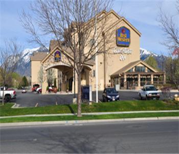 Отель Best Western Plus Cotton Tree Inn
