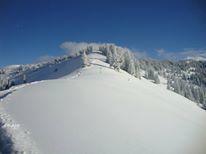 Апартаменты Ferienwohnung Schneebergblick