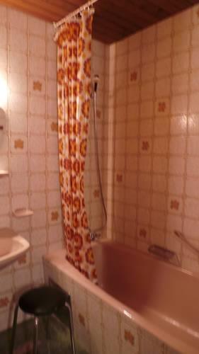 Апартаменты Apartment Hippach 1