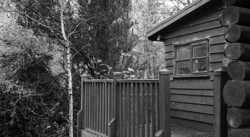 Апартаменты Pinetum Lodge