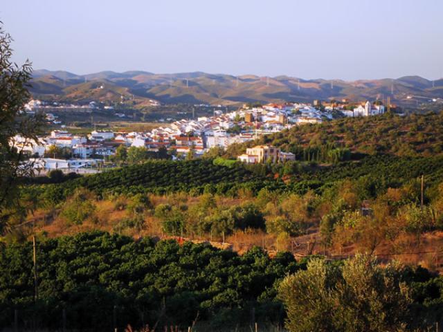Вилла Villa in Silves III