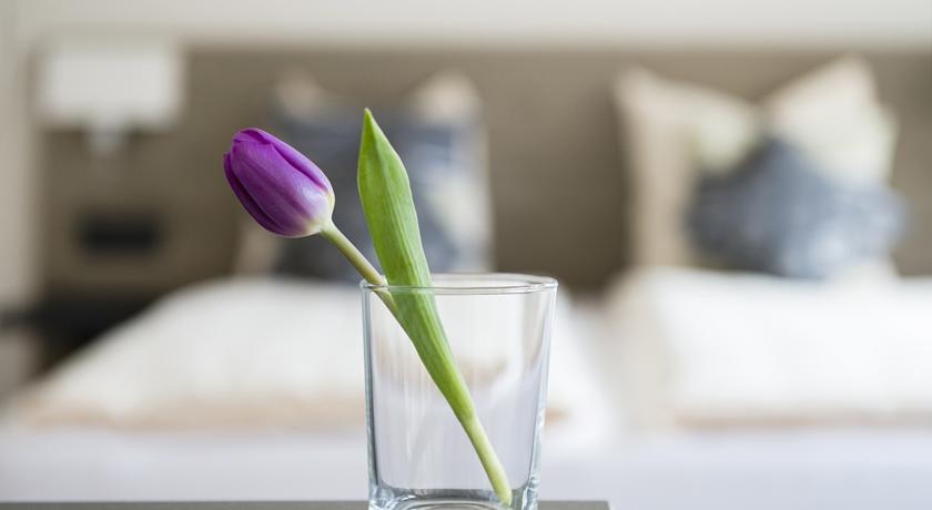 Guesthouse Langstrasse