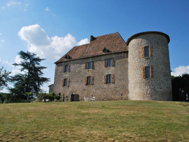 Вилла Villa in Dordogne IX