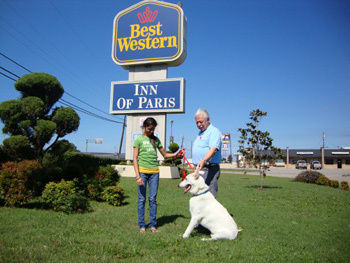 Отель Best Western Inn Of Paris