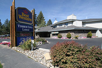 Отель Best Western Timber Cove Lodge