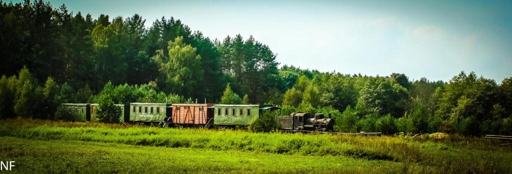 Апартаменты Village Museum Zabrodye