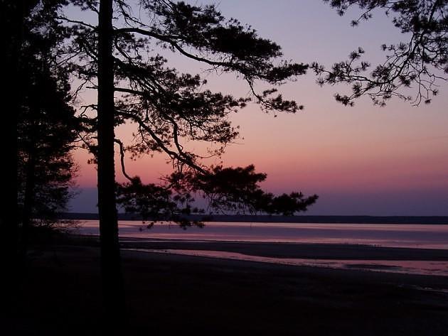 Апартаменты Hiirevända Holiday House