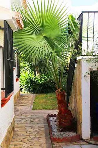 Апартаменты Holiday home El Horizonte