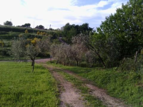 Отель Agriturismo Maria Pia