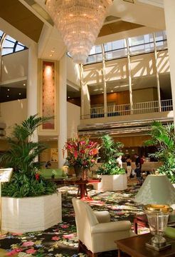 Отель Hilton Universal City