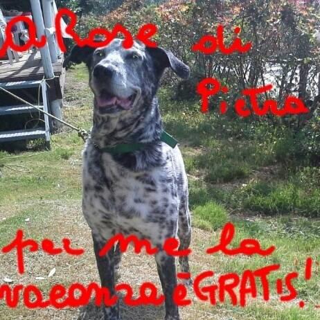 Отель Agriturismo Rose di Pietra