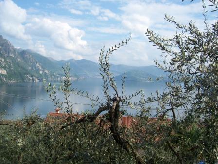 Апартаменты Il Giardino Degli Olivi