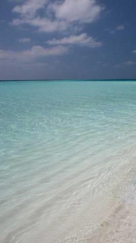 Апартаменты Salento Apartment Verbena
