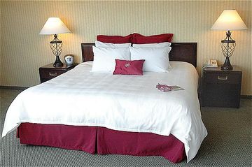 Отель Crowne Plaza Hotel San Jose-Si