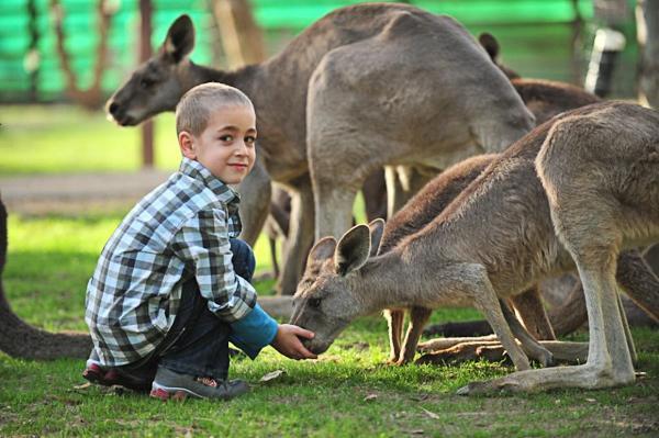 Отель Nir David Country Lodge