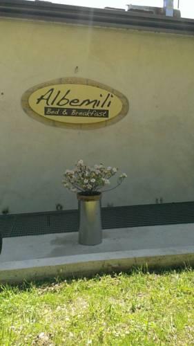Мини-отель Albemili B&B