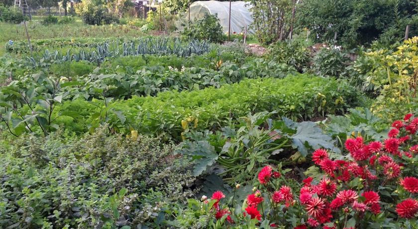 Апартаменты Le Gîte d‘Alice et André