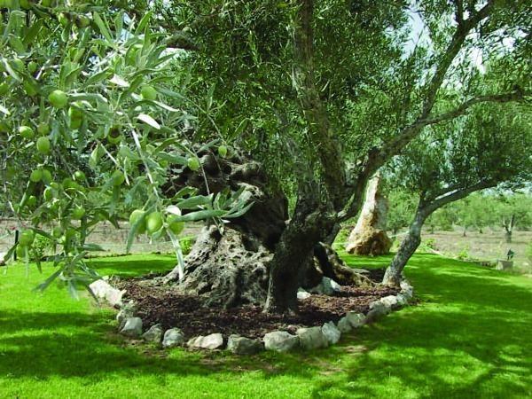 Отель Quinta dos Tesouros