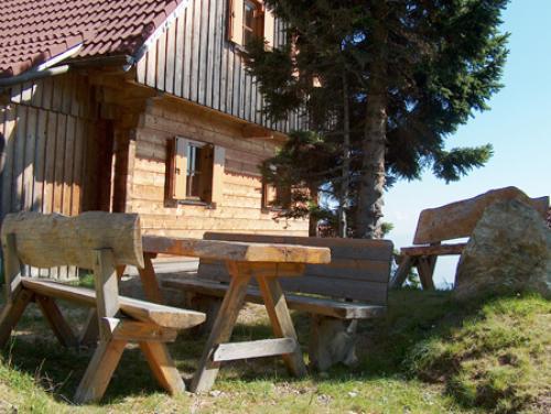 Апартаменты Almhutten Moselebauer