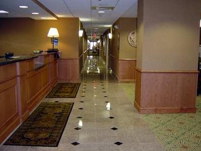Отель Hampton Inn Stony Creek