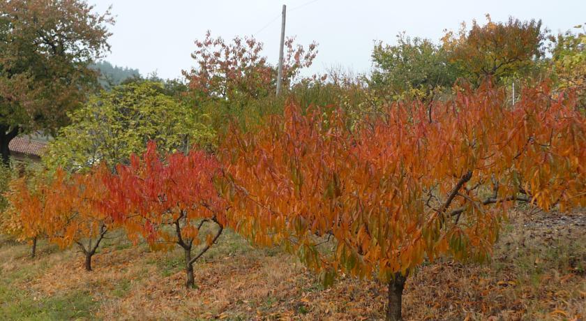 Апартаменты Cascina Monsignore Azienda Agrituristica