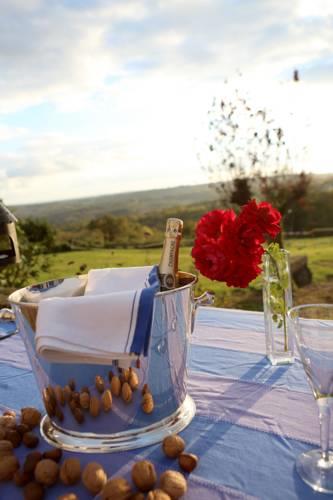 Мини-отель Le Puy Gites & Bed and Breakfast