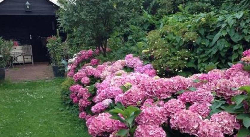 Мини-отель B&B Hoofddorp