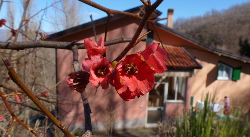 Апартаменты Casa Vacanze La castagnara