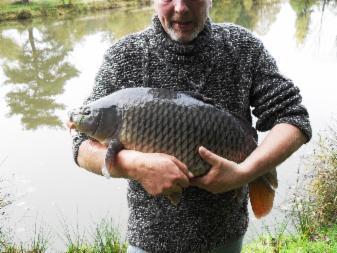 Отель Acorn Lake Fishing and Caravan's