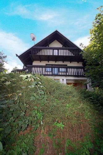 Апартаменты Ceska Cermna Holiday Home 1